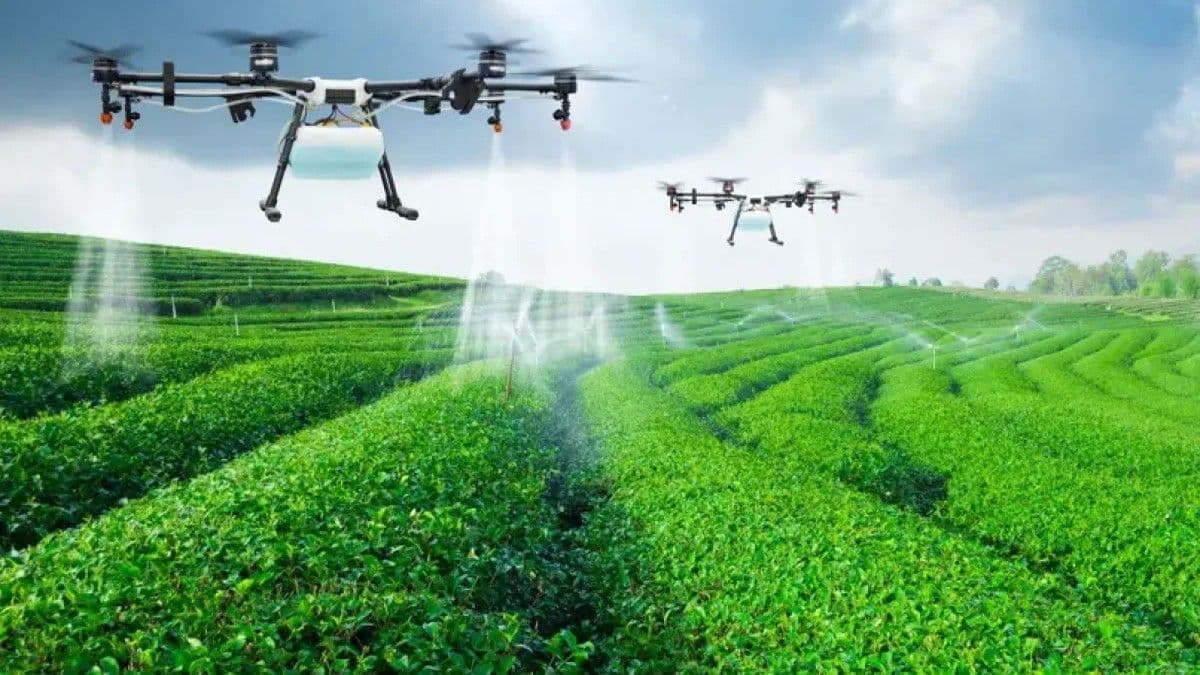 Misión del CREA de Italia visita República Dominicana para cooperación agropecuaria