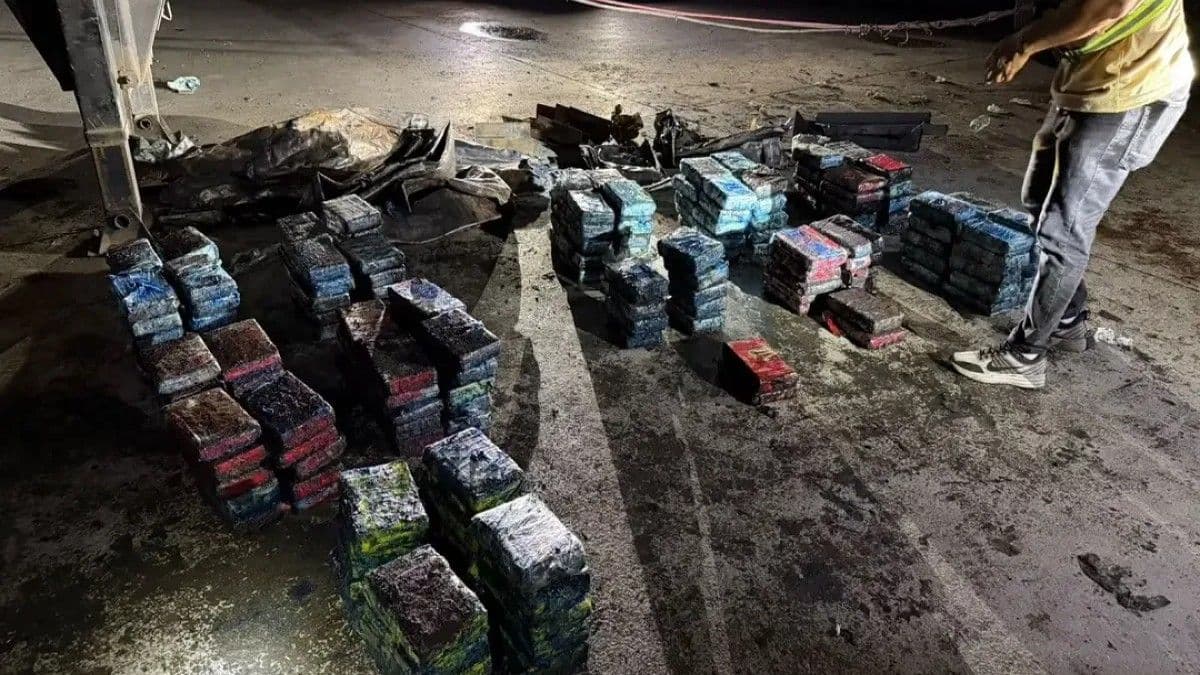 DNCD incauta 228 paquetes de cocaína en operativos simultáneos