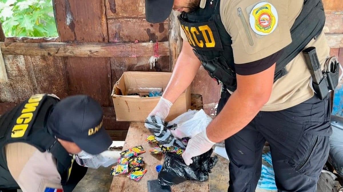 Incautan más de 13,000 gramos de drogas y detienen a 44 personas en Santo Domingo Este
