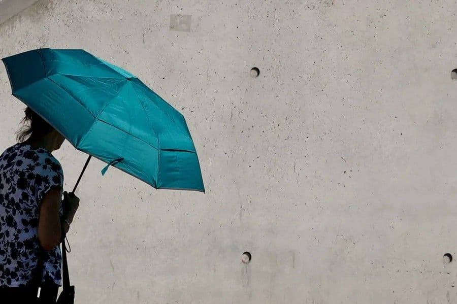 Ola de calor en Alemania causó más de 4.300 muertes, según Instituto Koch