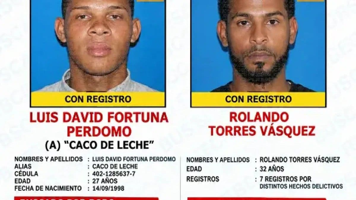 Dos presuntos delincuentes abatidos en operativos policiales en Verón-Punta Cana y Salcedo