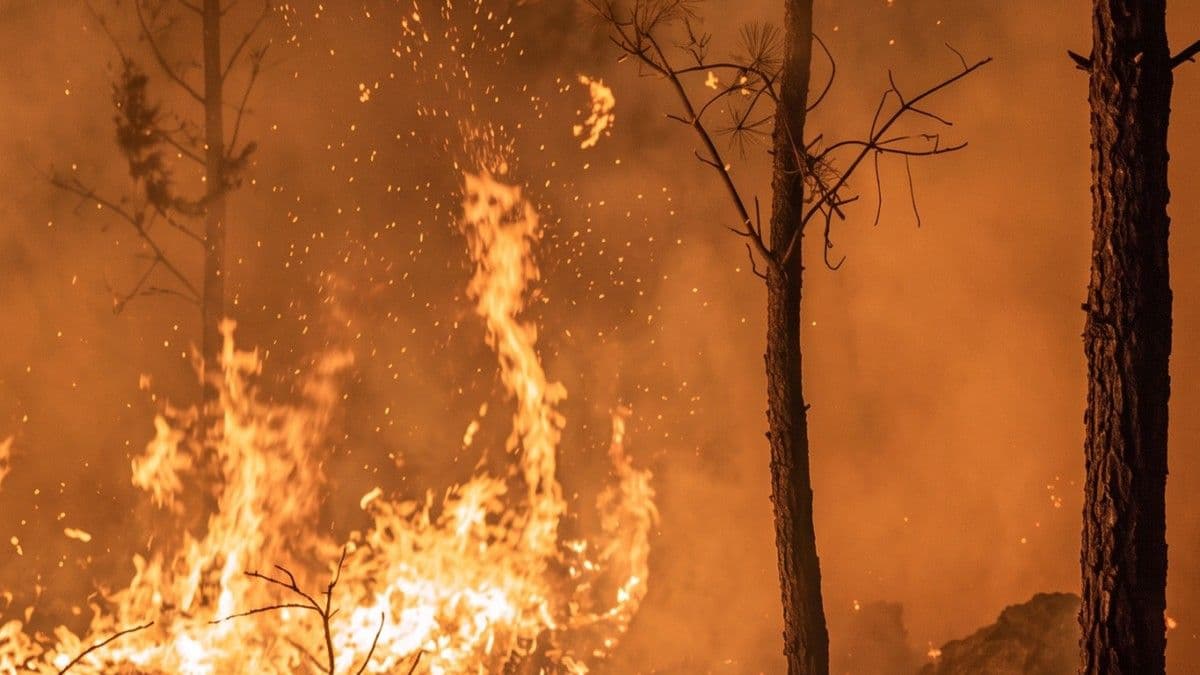 Incendio forestal amenaza el Parque Nacional Valle Nuevo