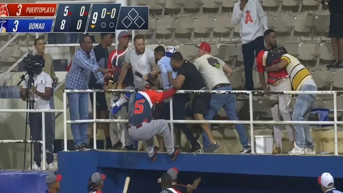 Incidente entre jugadores y fanáticos detiene partido de béisbol en Bonao