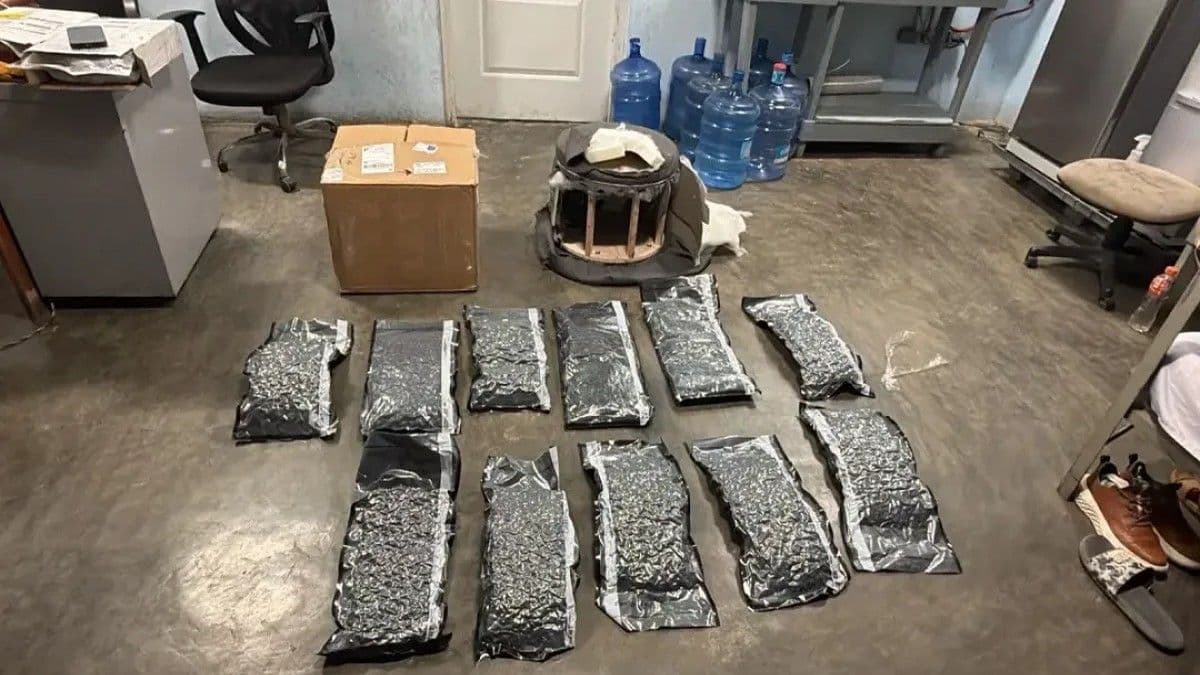 Decomisan 11 paquetes de presunta marihuana en el AILA