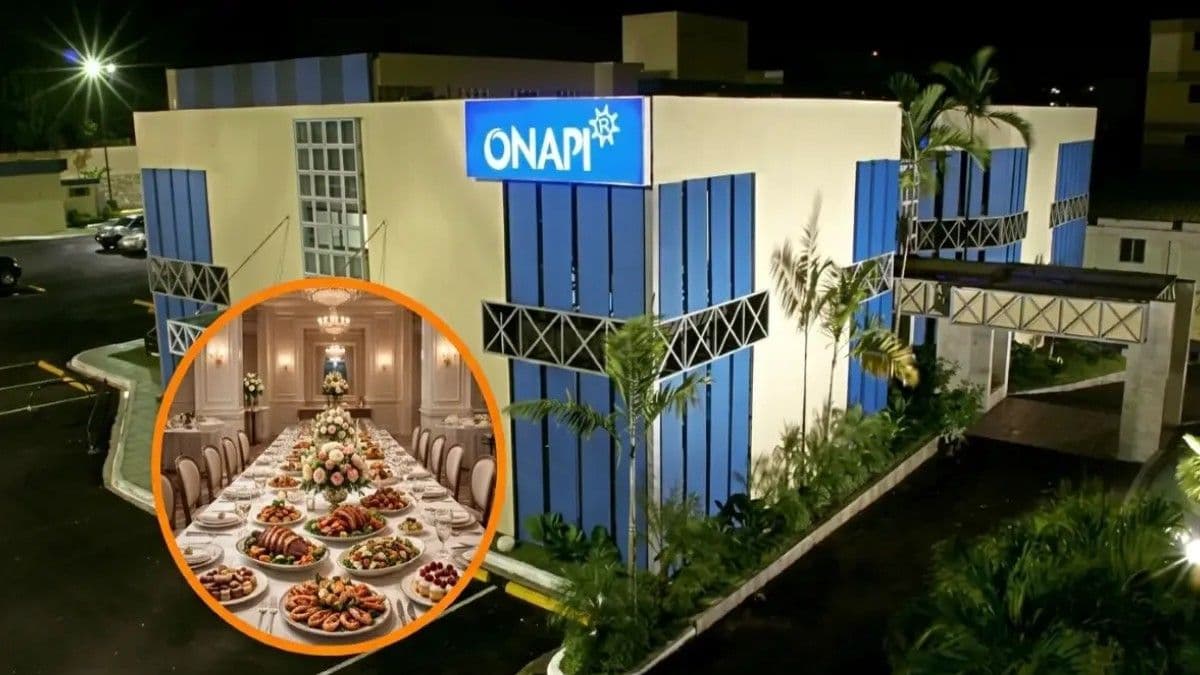 Auditoría revela irregularidades financieras en ONAPI