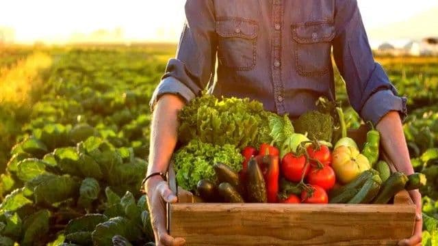 Latinoamérica podría liderar la producción mundial de alimentos, según Segib