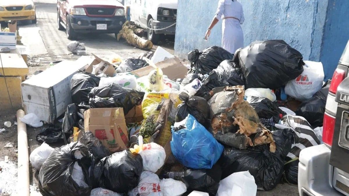 Ley de residuos sólidos contempla severas multas por arrojar basura en la calle
