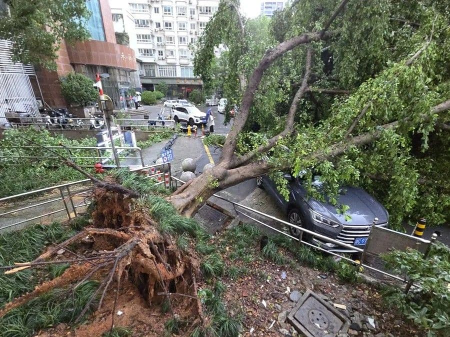 El tifón Dolphin provoca evacuaciones masivas y lluvias récord en China