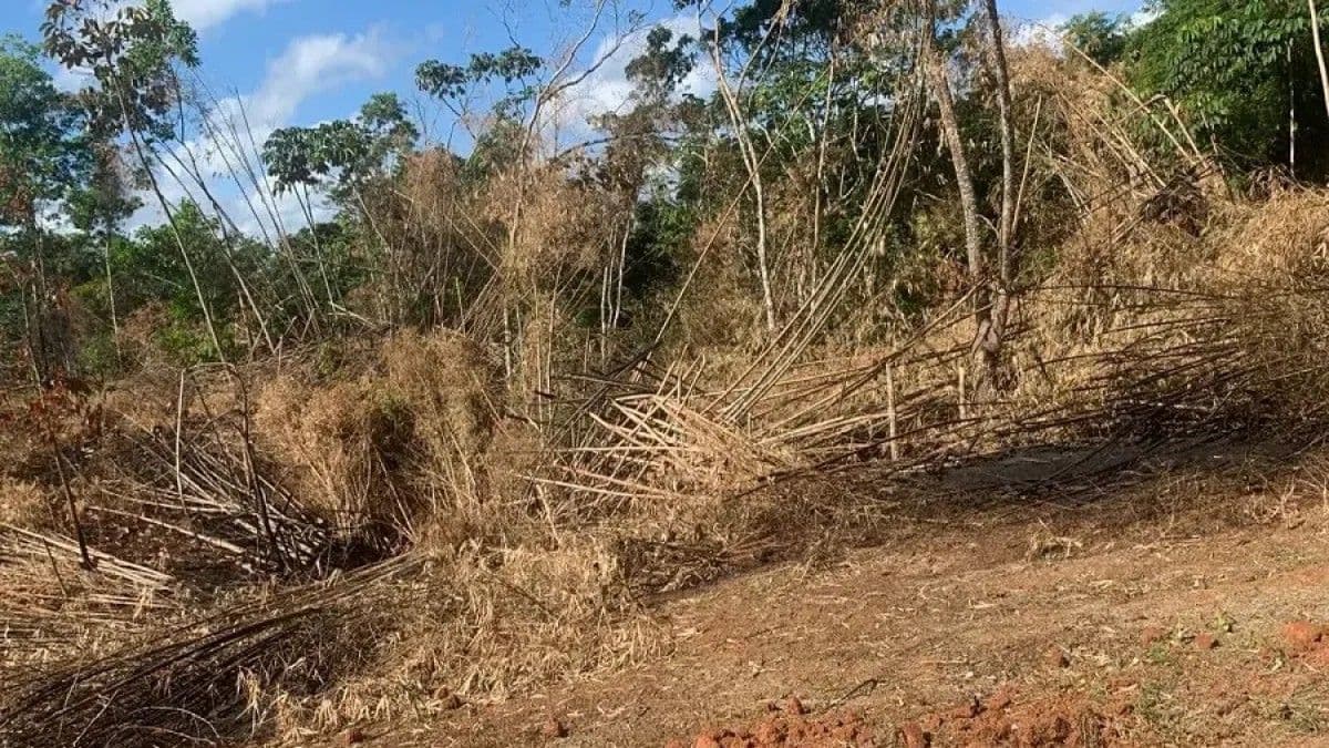 Monte Plata enfrenta conflictos por tierras y procesos judiciales prolongados
