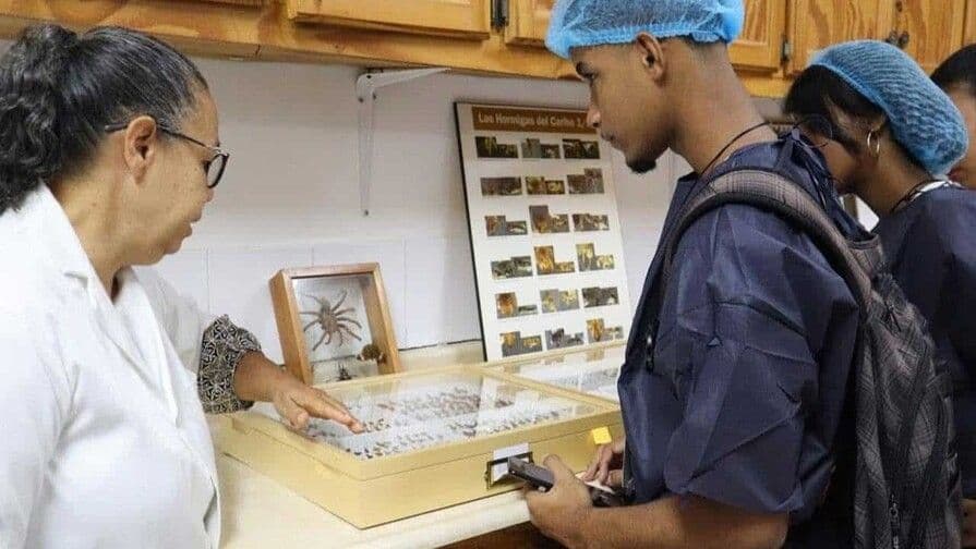 Tesis universitarias abordan problemáticas clave en República Dominicana