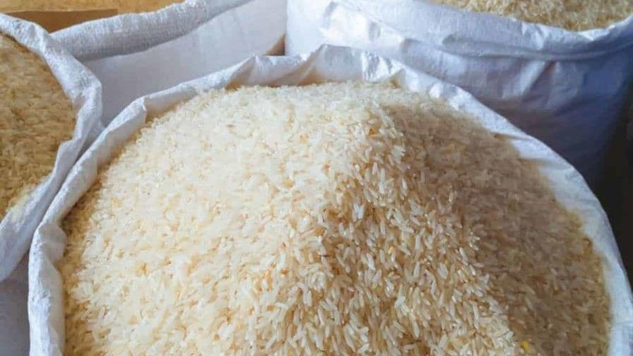 El Gobierno dominicano defiende el arroz como cuestión de seguridad nacional