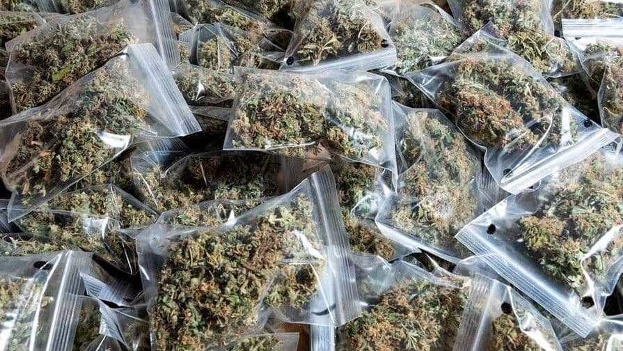Aumento del consumo de marihuana en República Dominicana preocupa a expertos