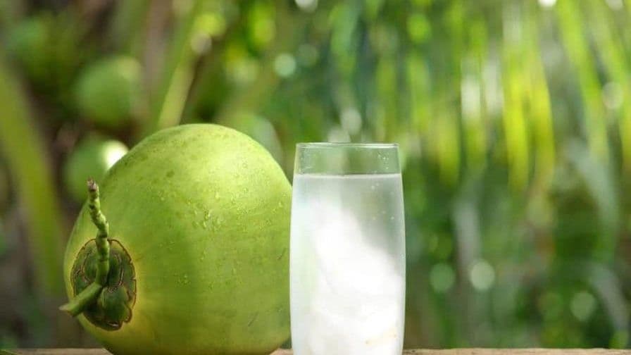 El auge del agua de coco entre los consumidores dominicanos