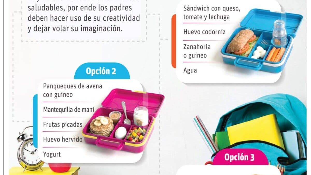 La importancia de una lonchera escolar equilibrada para la salud infantil