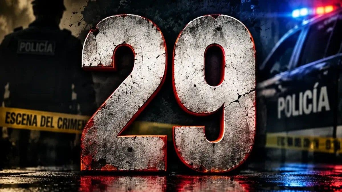 Debate sobre el impacto del 'Código 29' en la delincuencia en República Dominicana