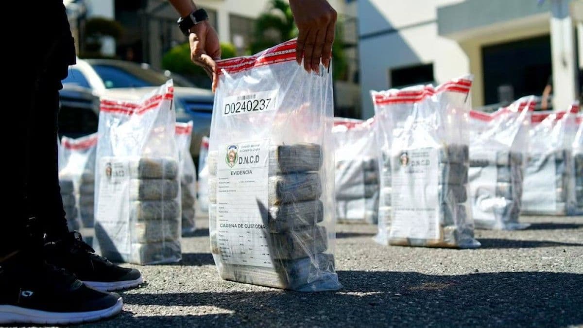 DNCD decomisa más de 16 toneladas de drogas en el segundo trimestre de 2026