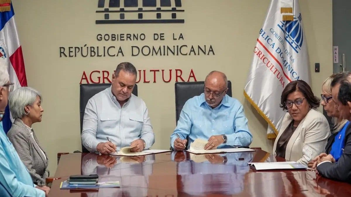 República Dominicana se prepara para reanudar exportación de mangos a EE.UU.