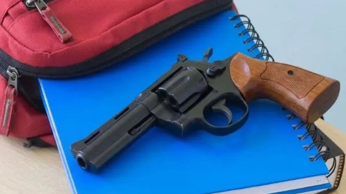 Incautan seis armas de fuego en escuelas públicas de Nueva York