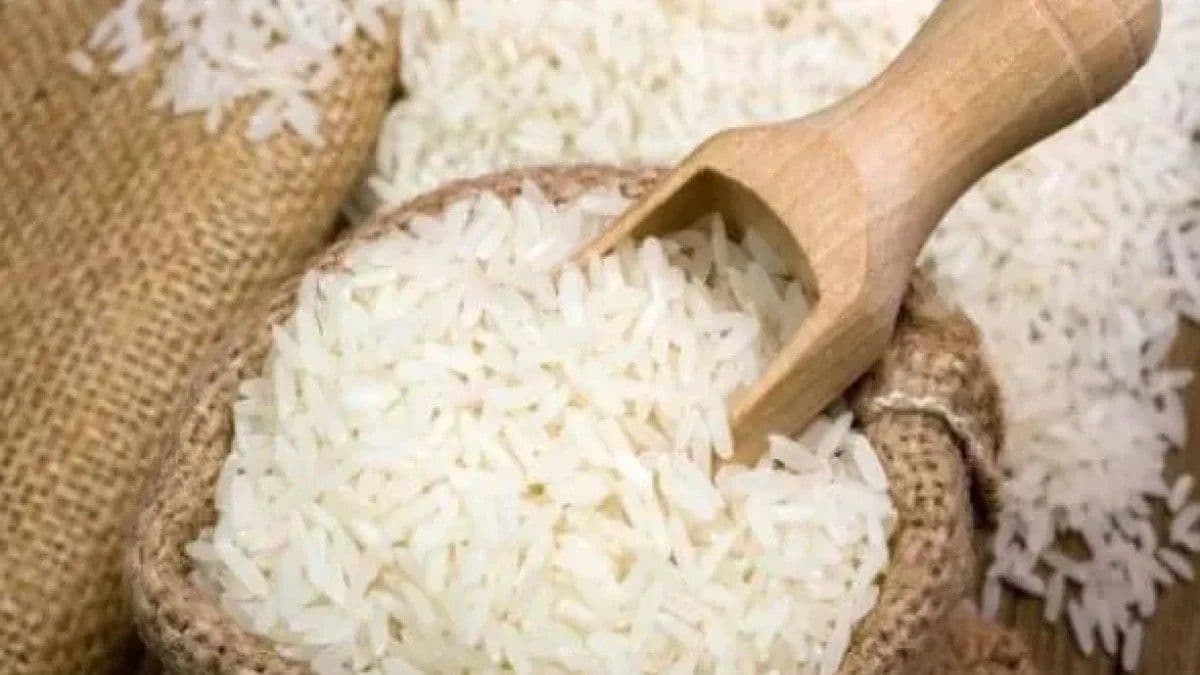 Propuestas para proteger la producción de arroz en República Dominicana
