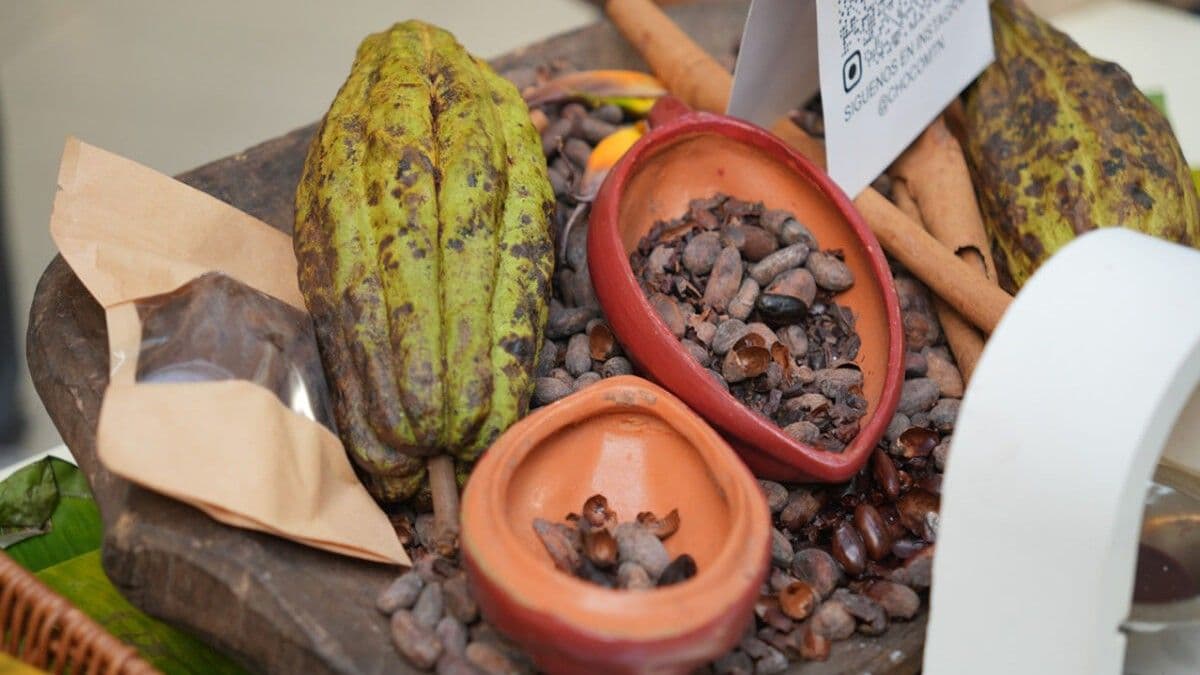 Festival del Chocolate Dominicano reunirá a más de 18 marcas en Santo Domingo