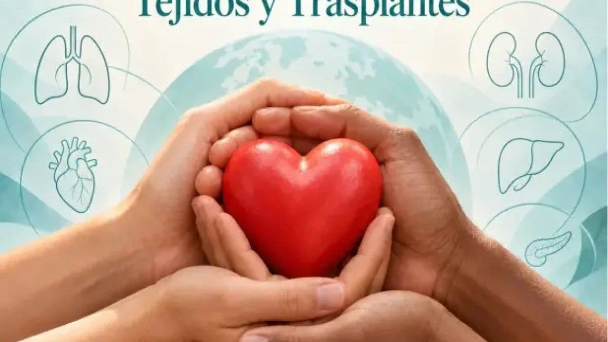 Día Mundial de la Donación de Órganos: una oportunidad para salvar vidas