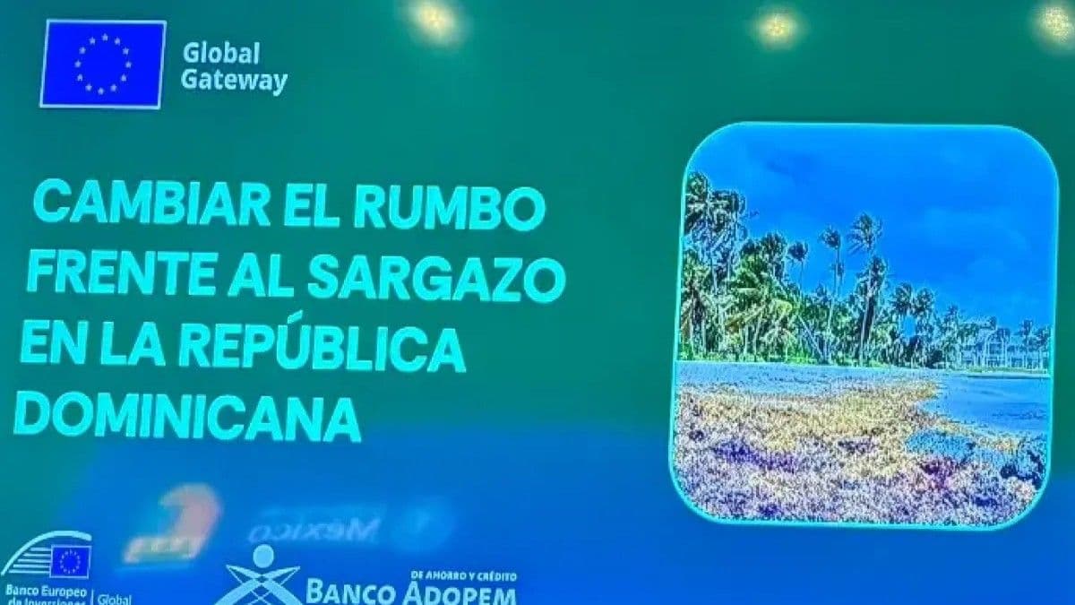 República Dominicana recibe US$6.3 millones para transformar el sargazo en oportunidades empresariales