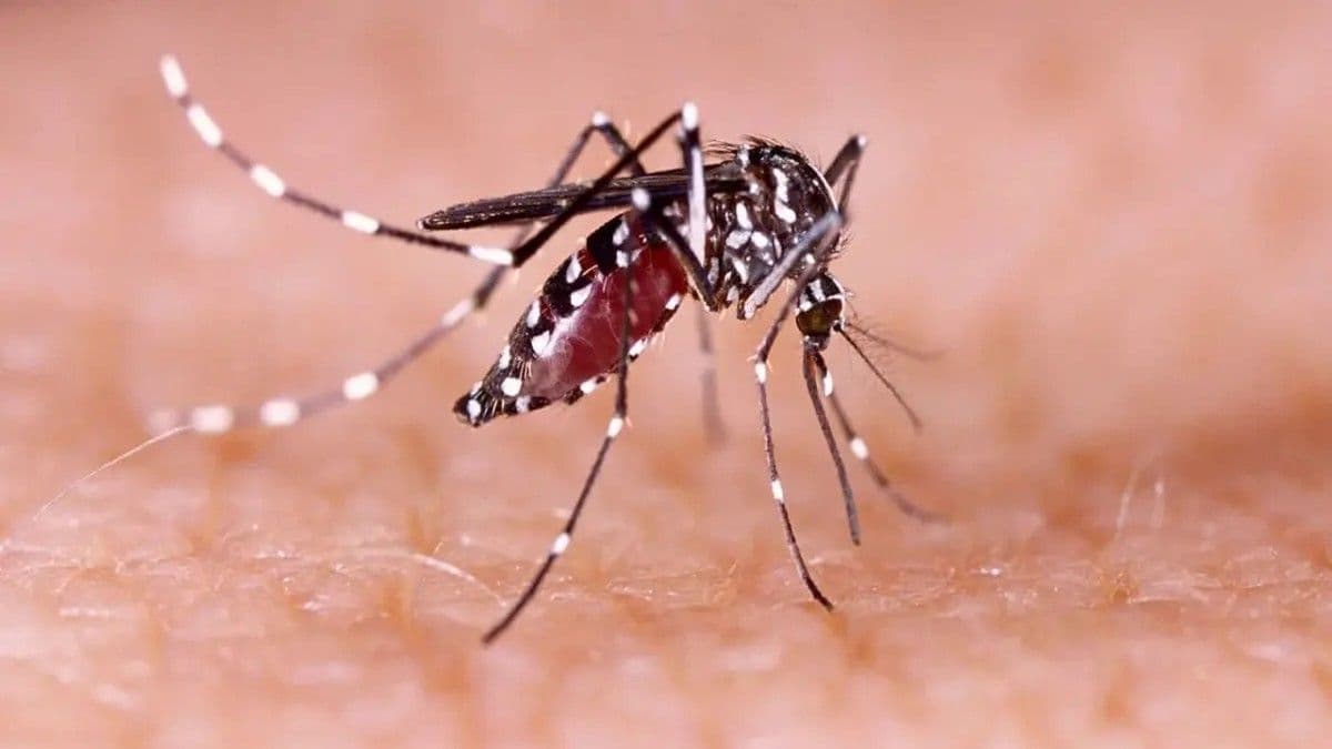 Salud Pública intensifica acciones contra el dengue en República Dominicana