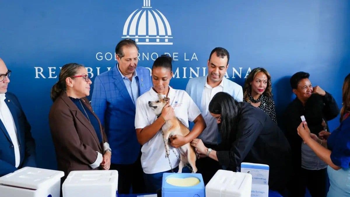 Salud Pública distribuirá un millón de vacunas contra la rabia para mascotas