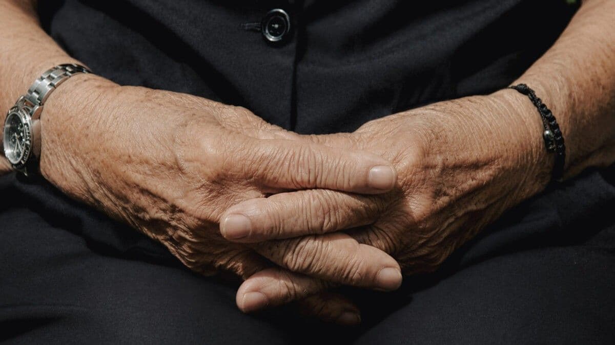 Estudio dominicano vincula microbiota intestinal con deterioro cognitivo