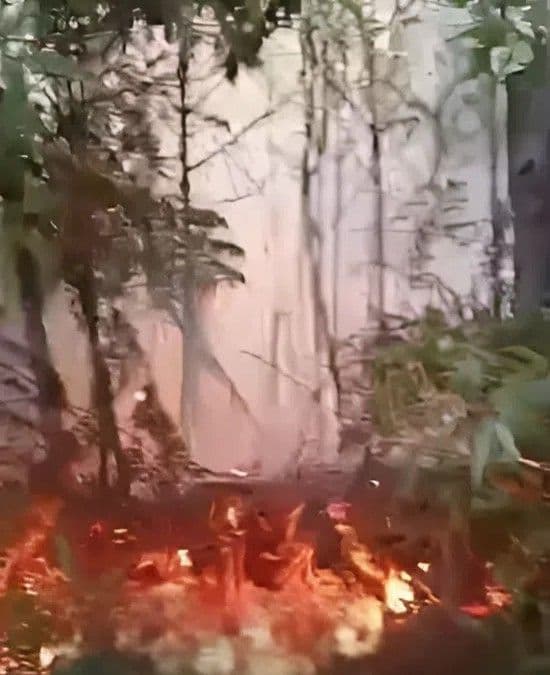Incendios forestales afectan áreas protegidas en República Dominicana
