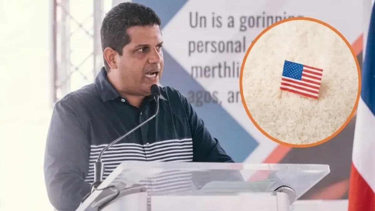 Arroceros advierten crisis agrícola por eliminación de arancel al arroz importado