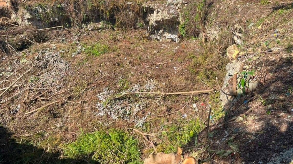 Comunitarios de Invidorex exigen detener destrucción de zona protegida en Las Américas