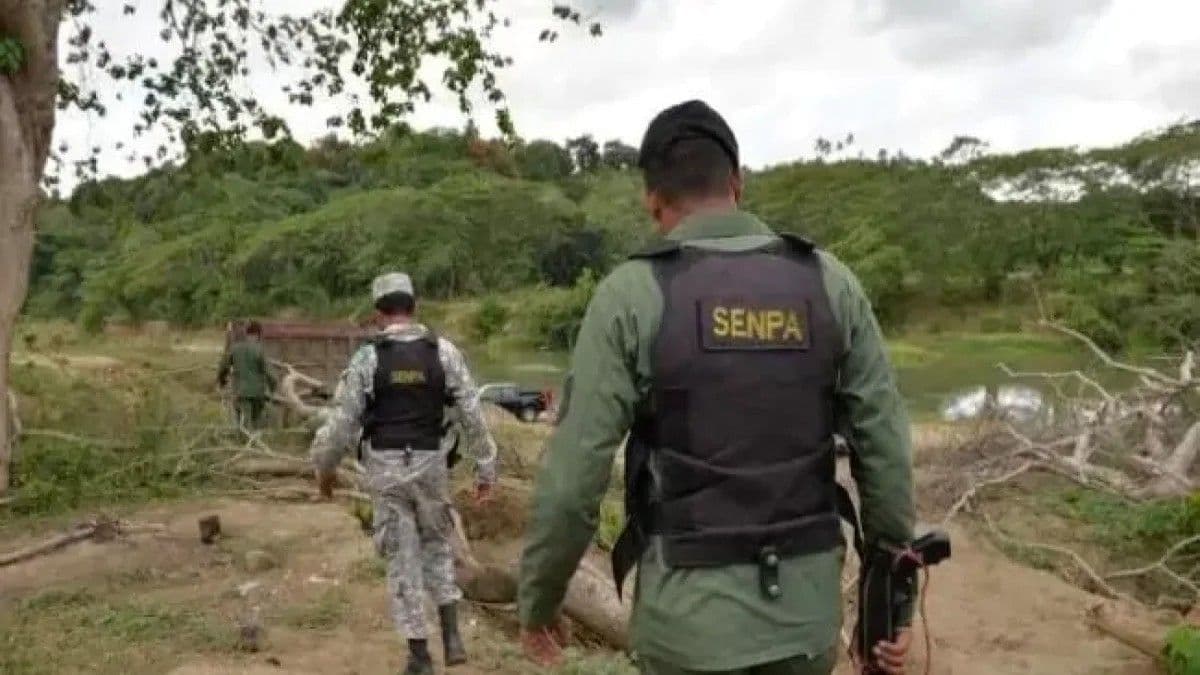 Desafíos en la vigilancia de áreas protegidas en República Dominicana