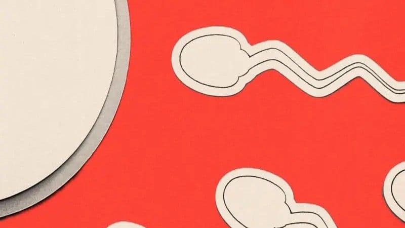 La infertilidad masculina: un problema subestimado