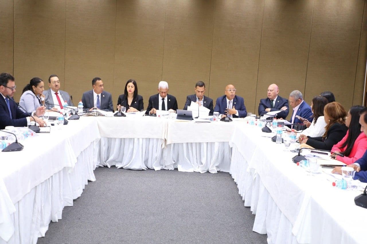 Comisión Bicameral avanza en estudio de modificaciones al Código Penal