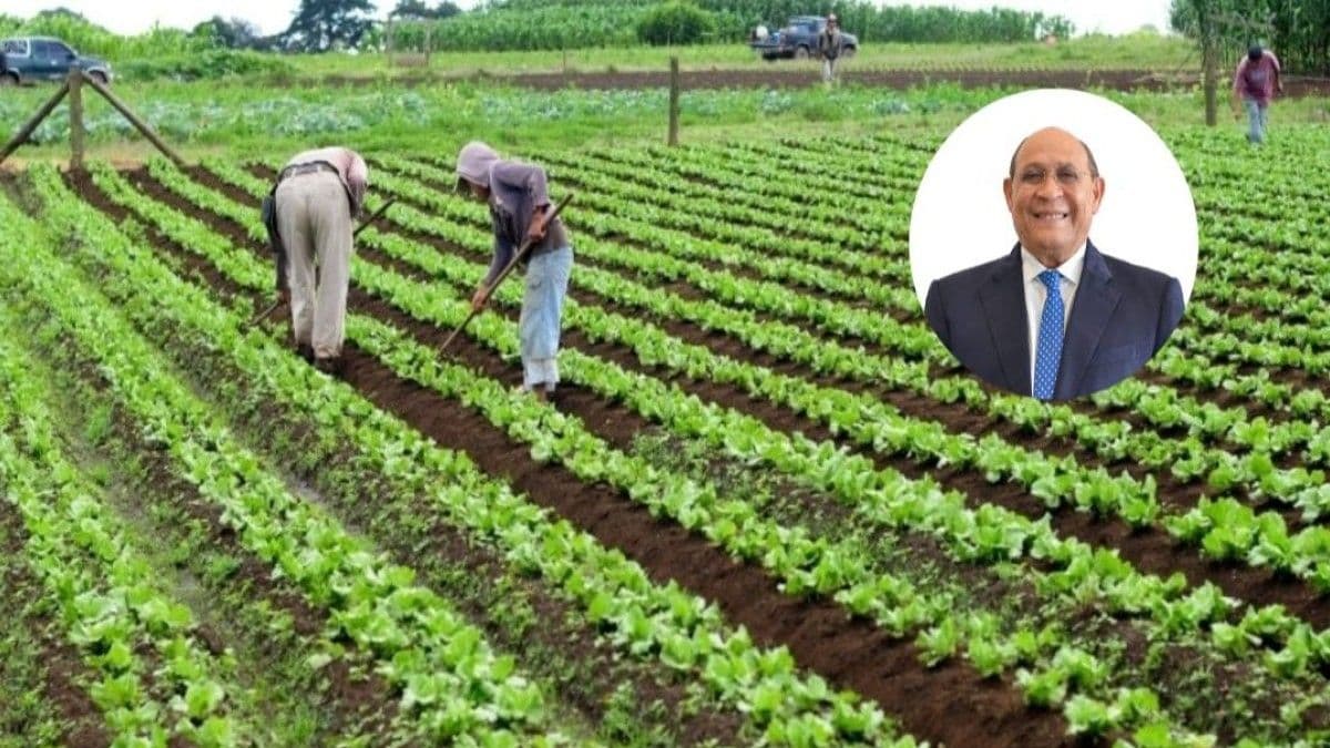 Santos Badía: Innovación tecnológica y mejores salarios son clave para el futuro de la agricultura dominicana