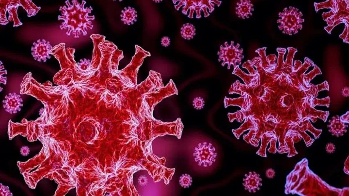 Aumento de casos de COVID-19 en EE. UU.; Nueva York refuerza medidas de prevención