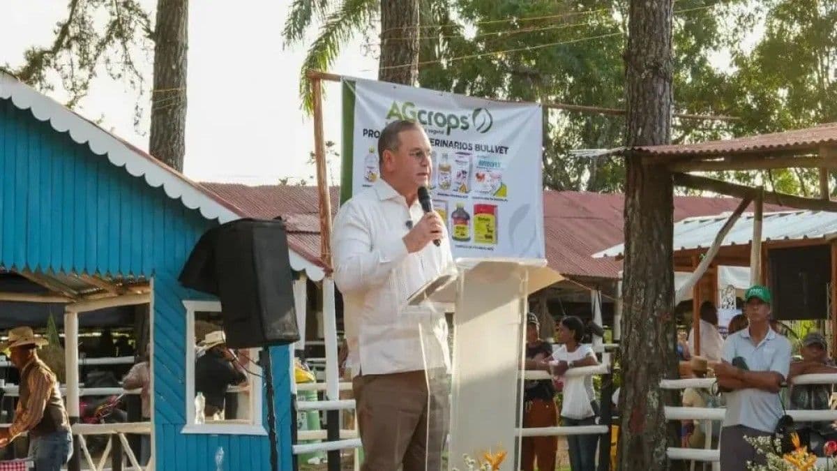Gobierno destina 20 mil pacas de alimento para ganado ante sequía