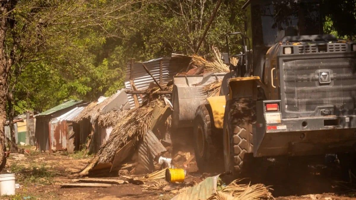 Medio Ambiente desmantela estructuras ilegales en Hoyo Claro