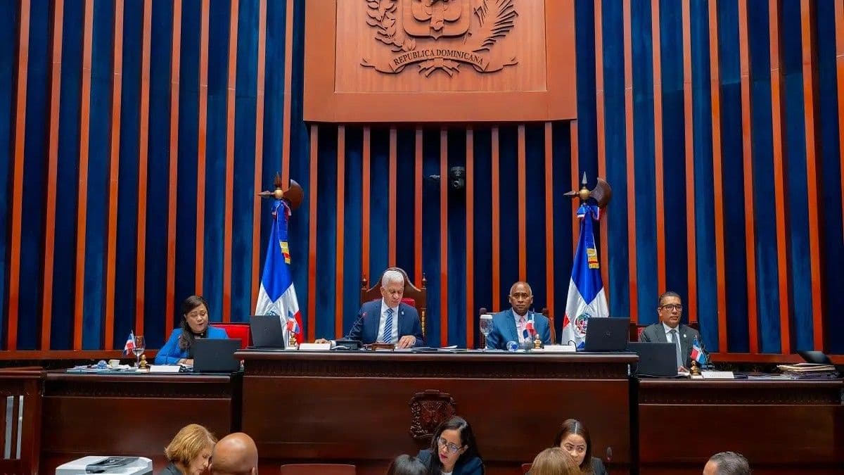 Senado pospone artículos del Código Penal sobre libertad de expresión hasta 2028