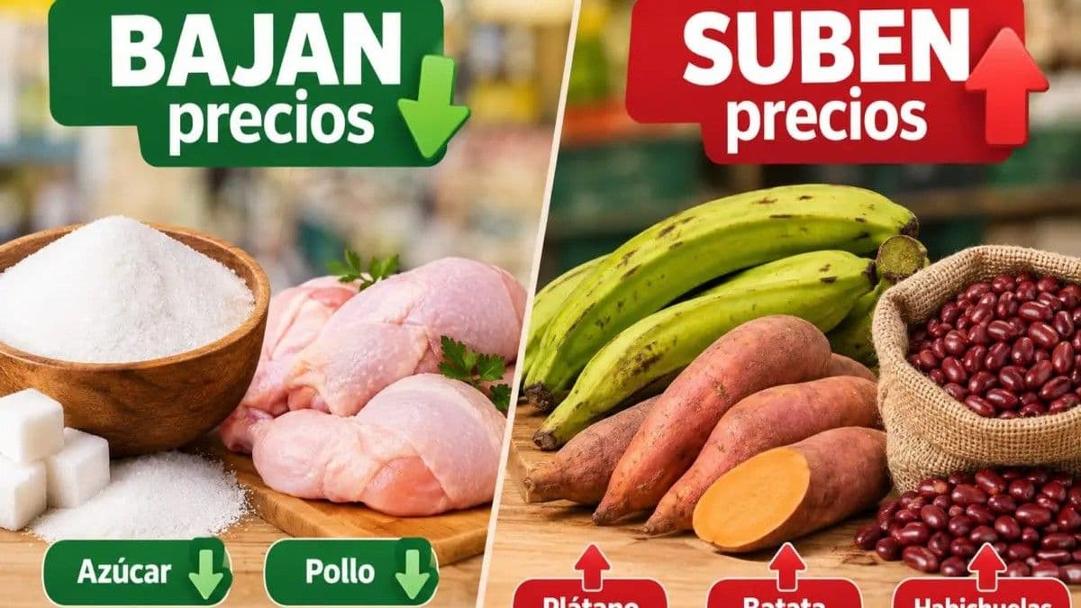 Variaciones en los precios de alimentos básicos en Santo Domingo