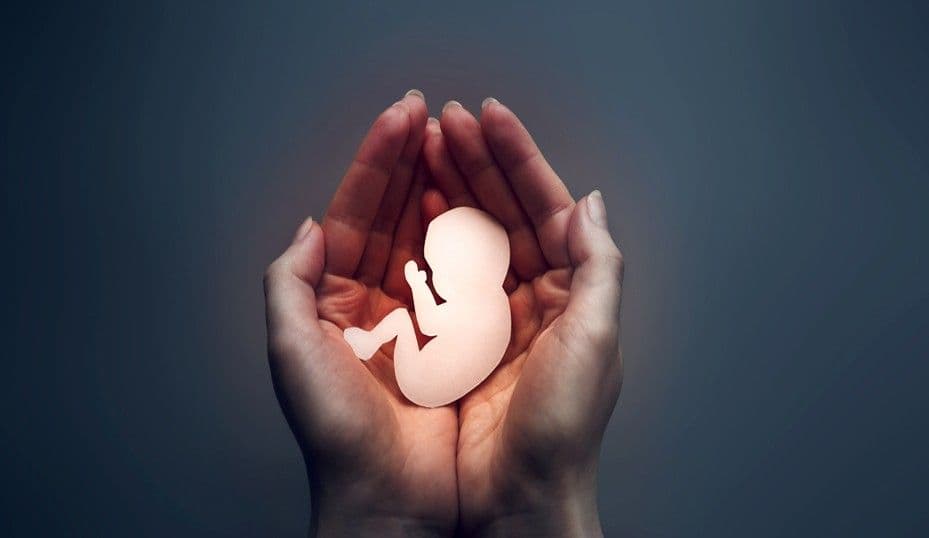 Jurista califica de estéril el debate sobre causales del aborto en el Código Penal