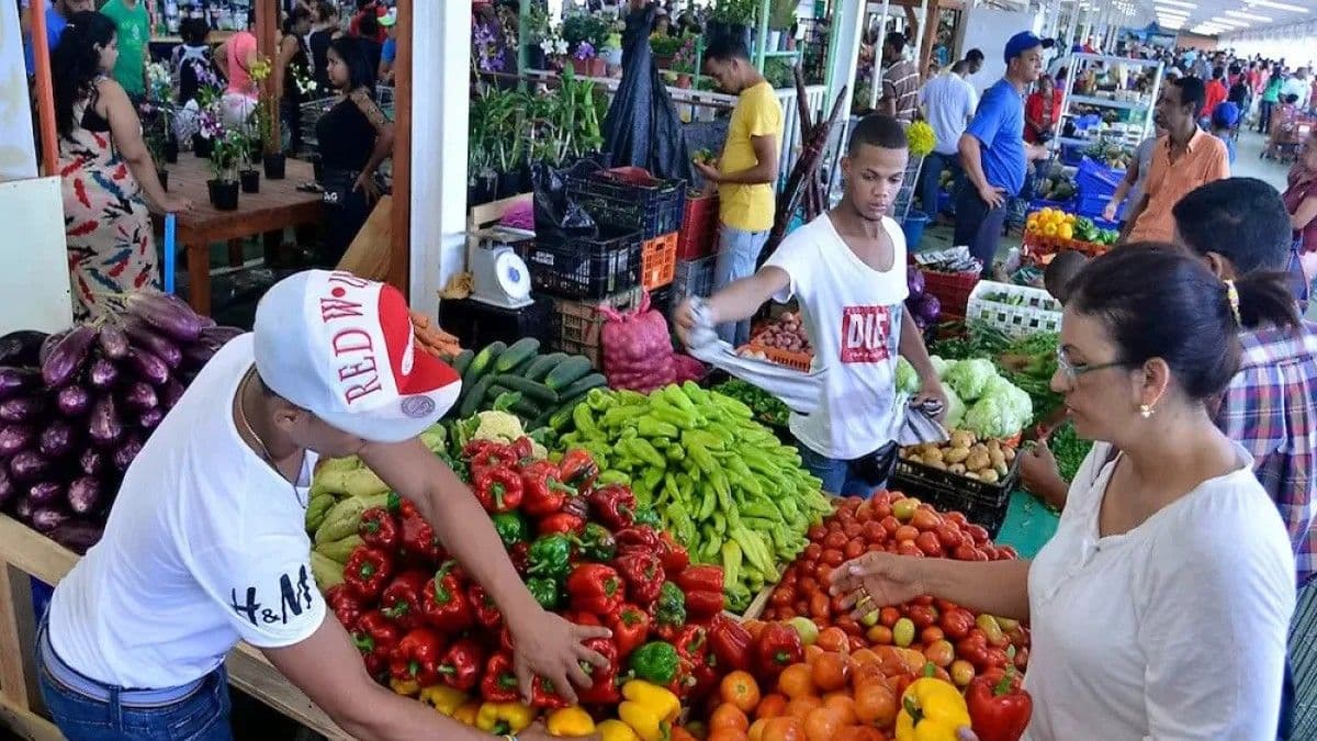 Familias dominicanas enfrentan altos costos para una alimentación adecuada