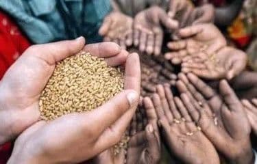 La ONU advierte sobre el impacto de El Niño en la seguridad alimentaria de Centroamérica