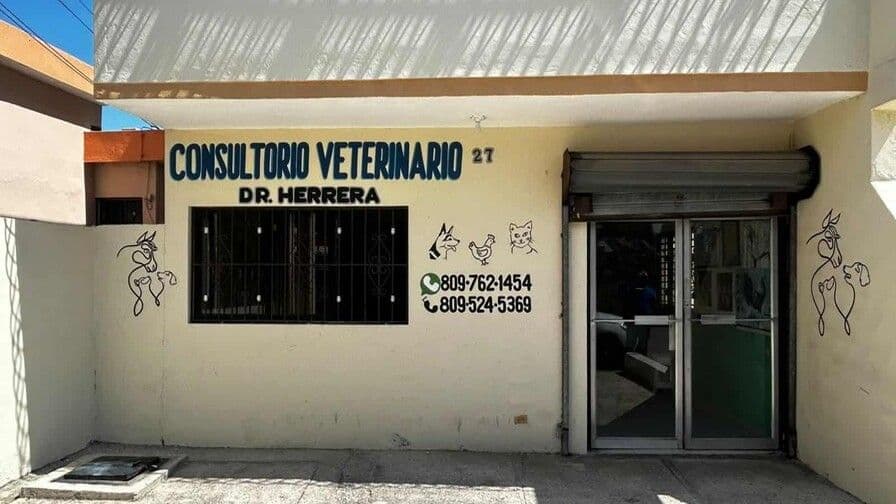 Aumento de casos de sarna en humanos en Barahona y medidas de prevención