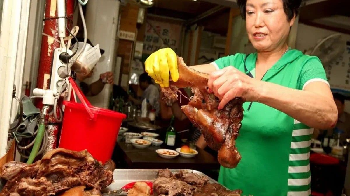 Corea del Sur se prepara para prohibir la sopa de carne de perro en 2027