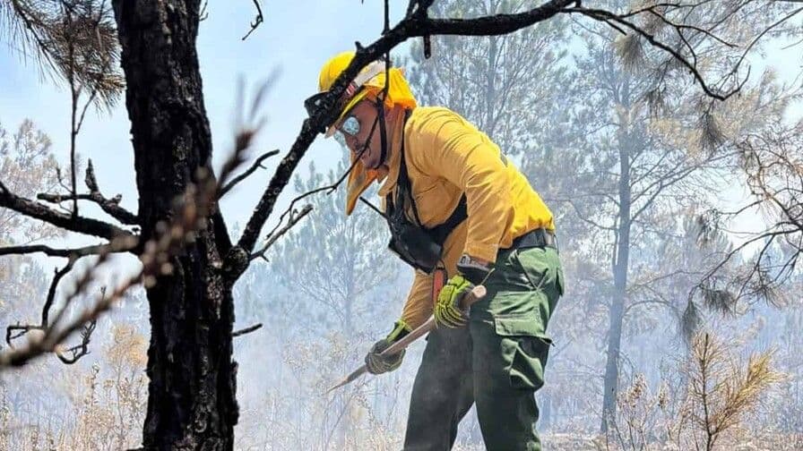 Refuerzan medidas ante aumento de incendios forestales en el país