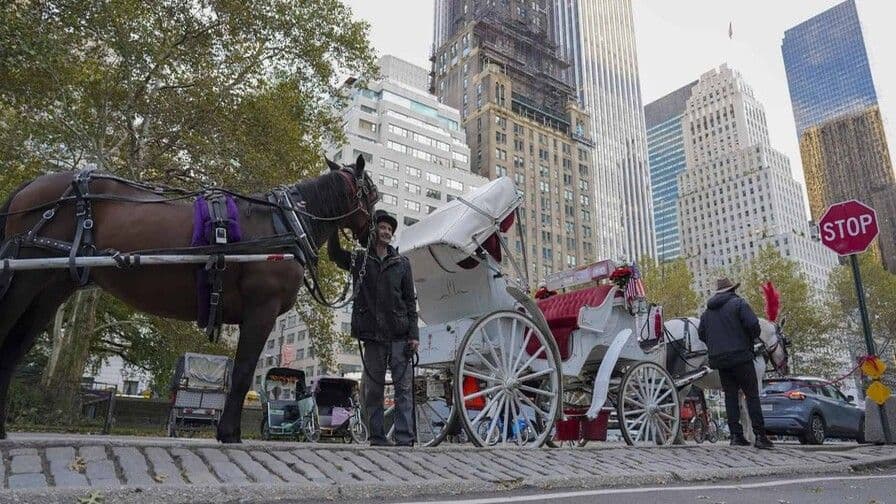 Nueva York prohibirá carruajes de caballos en 2028