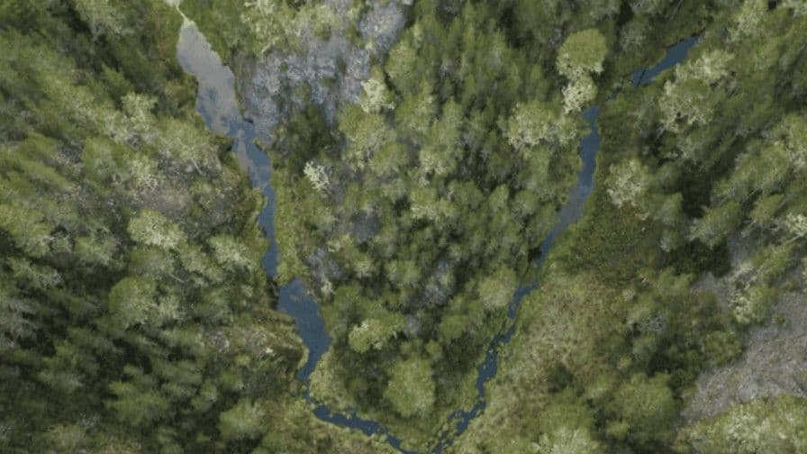 Reapertura del Parque Nacional Valle Nuevo tras control de incendio