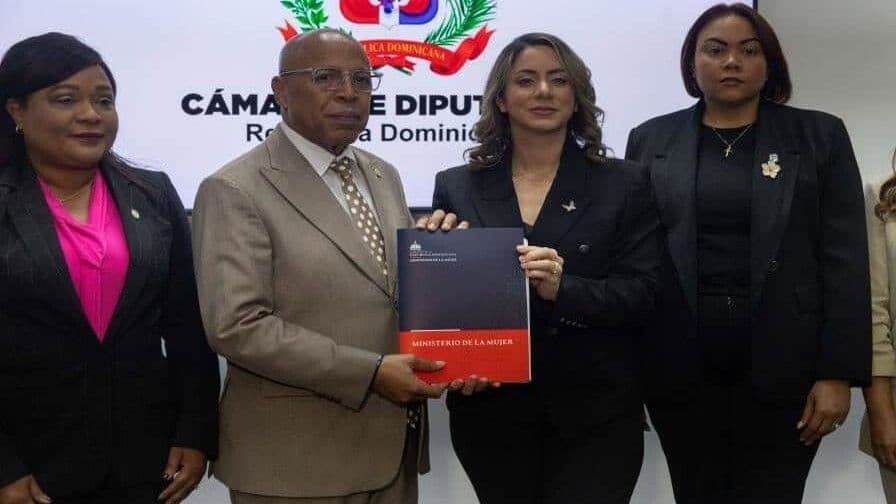 Proyecto de Ley Mirabal establece sanciones por violencia vicaria